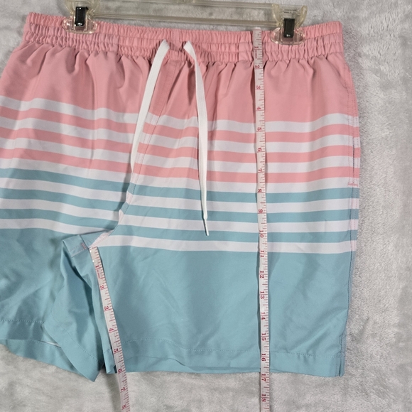Chubbies Striped Shorts Extra Large XL Inseam 5.5" Classic Swim Trunks Men Lined - Picture 8 of 9